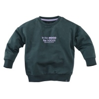 Foto van Z8 Mini Sweater Jurgen