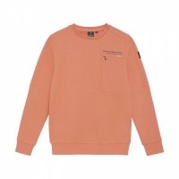 Indian Blue Sweater Chest Print Brushed Foto van Indian Blue Sweater Chest Print Brushed