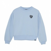 Indian Blue Sweater Embroidery Foto van Indian Blue Sweater Embroidery