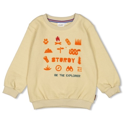 Sturdy Sweater - Chasing Trails