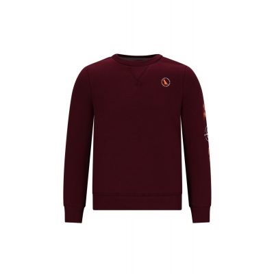 Tygo & Vito Sweater Sven