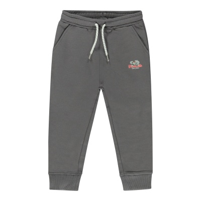 CARS GOOS LC SW Antra