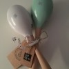 Afbeelding van Woodenprincess | Maracas | Mint en Wit