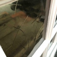 Afbeelding van Hardhouten deur enkelglas
