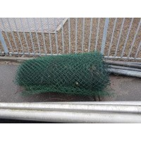 Afbeelding van Groen gaas maas vormig Heras