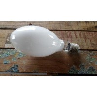 Afbeelding van Philips lampen 400W