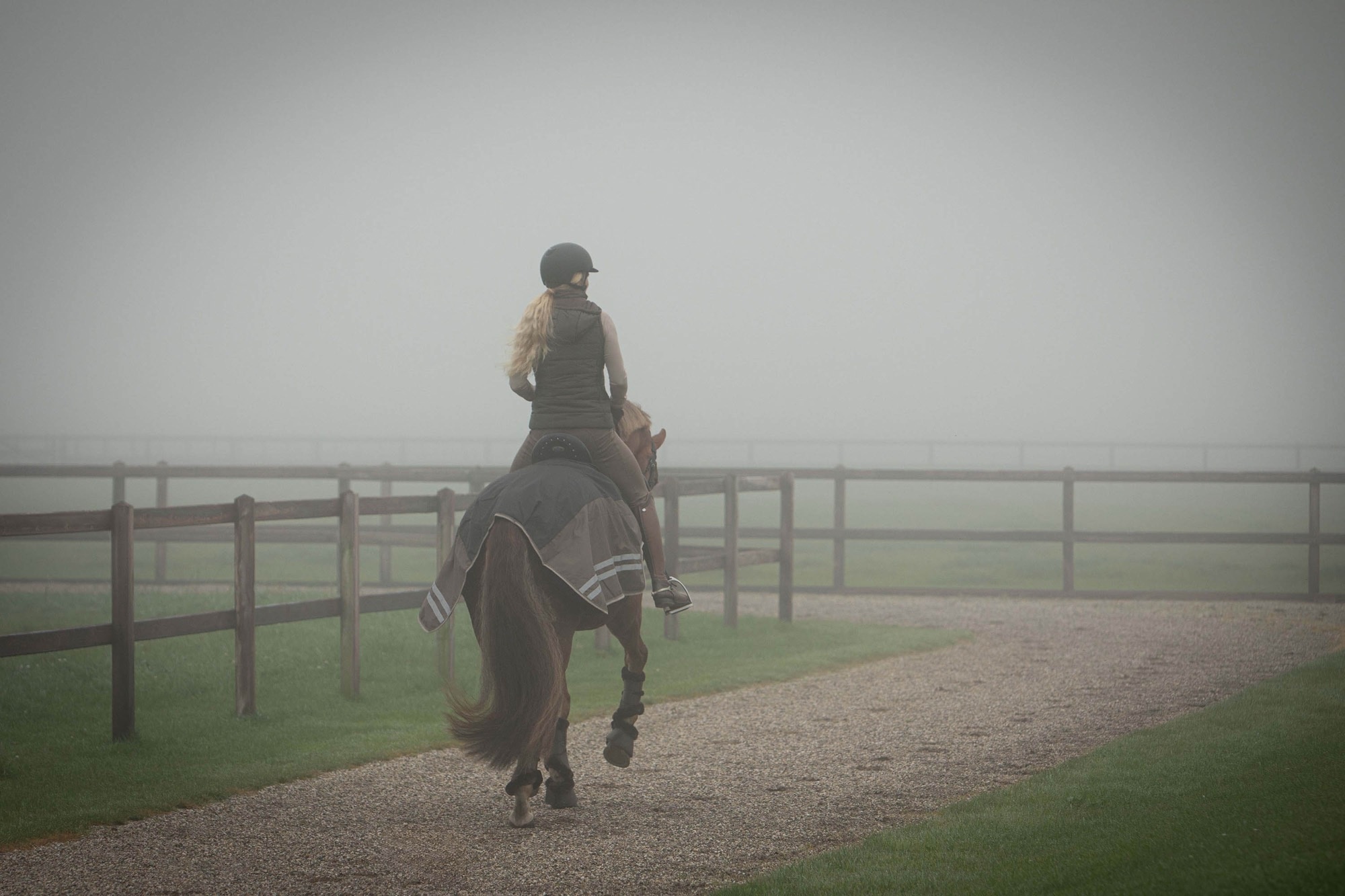 Paard en Herfst: Tips voor de overgang naar meer stalgebruik | Stalwereld.nl