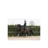 Afbeelding van ANKY® strijklappen Dark Olive- L