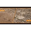 Afbeelding van Knock Pest Insectenpoeder 500 g