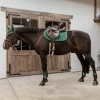 Afbeelding van Kentucky Kogelbeschermer young horse Dark green- Small