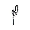 Afbeelding van BR Mini Horse halster met touw Midnight Navy- Pony