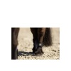 Afbeelding van BR Mini Horse strijklappen Cadet- Pony