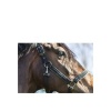 Afbeelding van ANKY® poetshalster Zwart- Pony