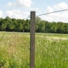 Afbeelding van Gallagher Insultimber (FSC®) tussenpaal 180x3,8x3,8cm (1)