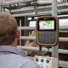 Afbeelding van Gallagher Weegschaal TWR-5 met Data recorder en EID reader