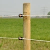 Afbeelding van Gallagher XDI schroef-ringisolator hout (125)