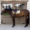 Afbeelding van Kentucky Oornetje Wellington velvet brown/white- Pony