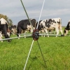 Afbeelding van Gallagher Rasterspin (5)