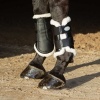 Afbeelding van Harry's Horse Beenbeschermers Flextrainer navy- xl