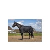 Afbeelding van BR regendeken Classic 1200D - 0g Zwart- 215/165 cm