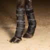 Afbeelding van Harry's Horse Cold Wrap blauw- uni