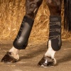 Afbeelding van Harry's Horse Beenbeschermers Grand Prix (achter) wit- cob