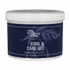 Afbeelding van Harry's Horse Cooling & care gel (500 ml) - uni
