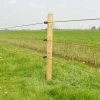 Afbeelding van Gallagher Schroef-ringisolator Economy hout (75)