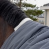 Afbeelding van Harry's Horse Stapmolendeken Waterdicht 200gr ebony- 215cm