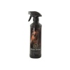 Afbeelding van BR glansspray 500 ml VE6