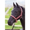 Afbeelding van Harry's Horse Halster Bit roze- full