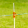 Afbeelding van Gallagher TurboLine kunststofdraad blauw 1000m
