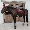 Afbeelding van Kentucky Vegan wol Young Horse kogelbeschermer Bordeaux- Xtra Small