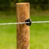 Afbeelding van Gallagher PowerLine cord wit 500m