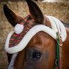 Afbeelding van Harry's Horse Halsterset en Muts Christmas rood- cob
