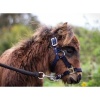 Afbeelding van Harry's Horse Veulenhalster Padded zwart- mini-veu