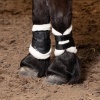 Afbeelding van Harry's Horse Beenbeschermers Flextrainer Tiny Air zwart- pony