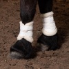 Afbeelding van Harry's Horse Beenbeschermers Flextrainer Tiny Air wit- mini