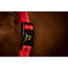 Afbeelding van Excellent Premium Halster Rood XS