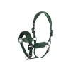 Afbeelding van BR halster Velvet Jungle Green- Pony