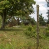 Afbeelding van Gallagher Bevestigingsdraadje lang voor Insultimber/Eco paal (50)