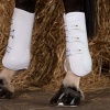 Afbeelding van Harry's Horse Beenbeschermers Grand Prix (achter) wit- full