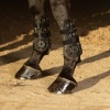 Afbeelding van Harry's Horse Peesbeschermers Protech wit- full