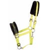Afbeelding van Harry's Horse Halster Lyrics Quotes lime- cob