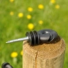 Afbeelding van Gallagher Schroef-ringisolator BS hout klein (250)
