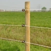 Afbeelding van Gallagher XDI schroef-ringisolator hout (75)