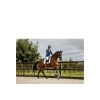 Afbeelding van BR oornetje Zamora C-wear Blueberry- Pony