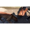 Afbeelding van Excellent Horse Total Balance 1 l