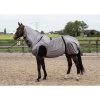 Afbeelding van Harry's Horse Eczeemdeken UV - 165cm