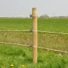 Afbeelding van Gallagher XDI schroef-ringisolator hout (25)